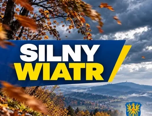 Silny wiatr nad powiatem cieszyńskim – ostrzeżenie IMGW 1. stopnia