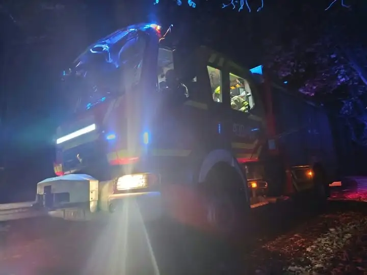 Powalone drzewo na przewodach energetycznych w Goleszowie – interwencja OSP KSRG