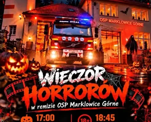 Weekend w Gminie Zebrzydowice: Senioriada, horrrory i morsowanie