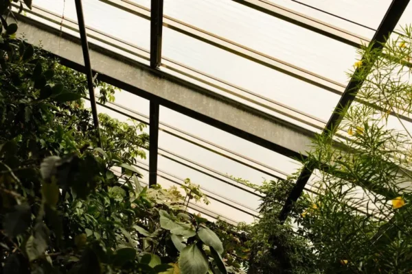 StalKris z Dębowca – lokalny biznes, który tworzy całoroczne ogrody zimowe